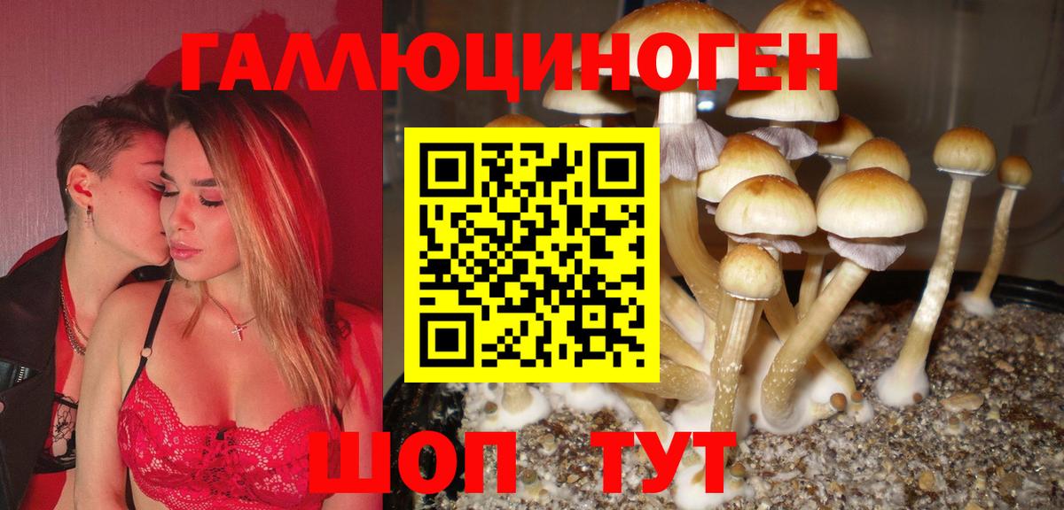 Галлюциногенные грибы MAGIC MUSHROOMS  Галлюциногенные грибы прущие грибы  купить закладку  Прохладный  Вход с VPN 